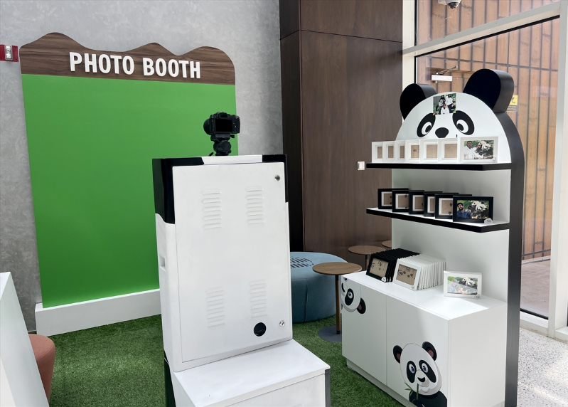 Katar'ın sevimli panda çifti, Orta Doğu'da bir ilke imza atıyor 22