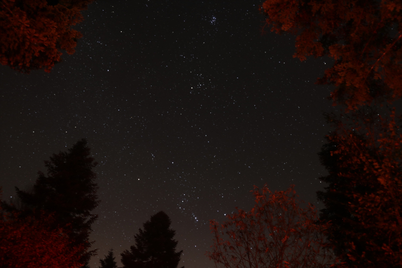 Çam Dağı'nda yıldızların görsel şöleni 1