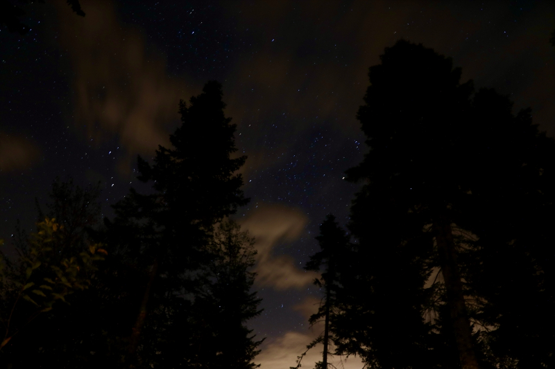Çam Dağı'nda yıldızların görsel şöleni 3