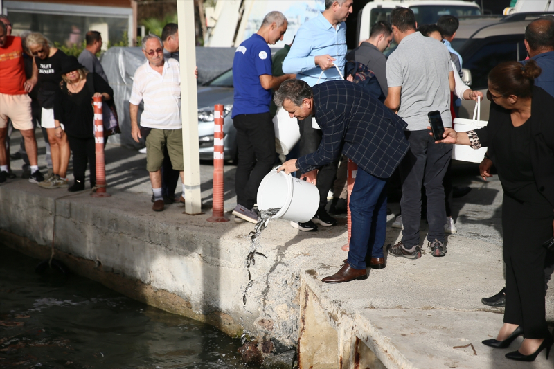 Bodrum'da deniz dibi ve kıyı temizliğinde yaklaşık 15 ton atık toplandı 13
