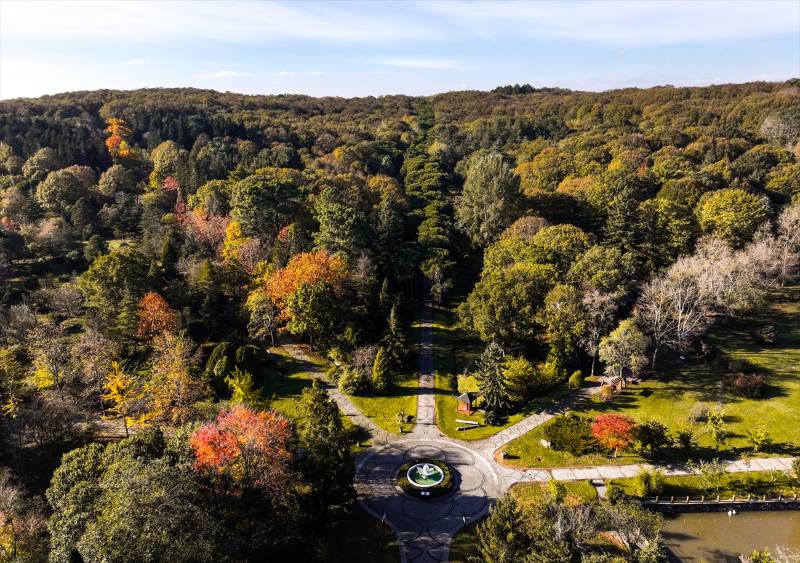 Atatürk Arboretumu'nda sonbahar renkleri