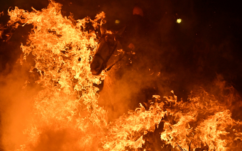 İspanya'da "kötülükleri kovmak için" atlar ateş üzerinden atlatıldı 14