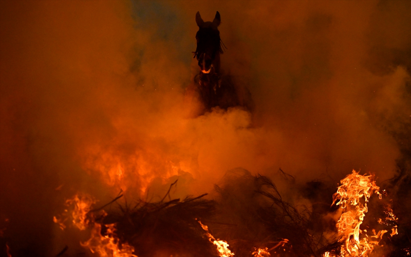 İspanya'da "kötülükleri kovmak için" atlar ateş üzerinden atlatıldı 3