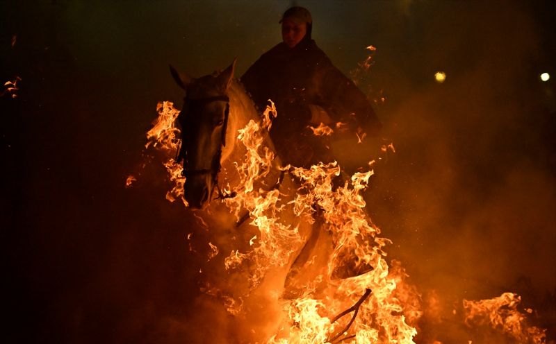 İspanya'da "kötülükleri kovmak için" atlar ateş üzerinden atlatıldı 4