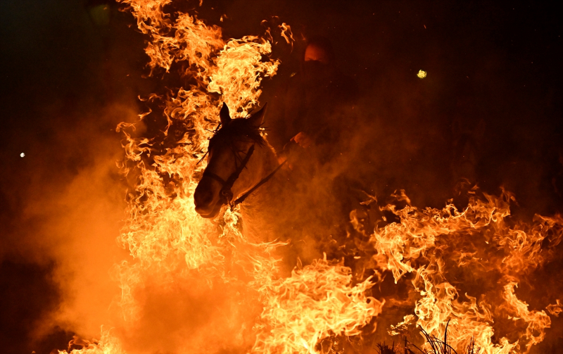 İspanya'da "kötülükleri kovmak için" atlar ateş üzerinden atlatıldı 20