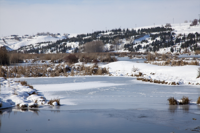 Yüzeyi buzla kaplanan Ahlat'taki "Kuş Cenneti" dronla görüntülendi 3