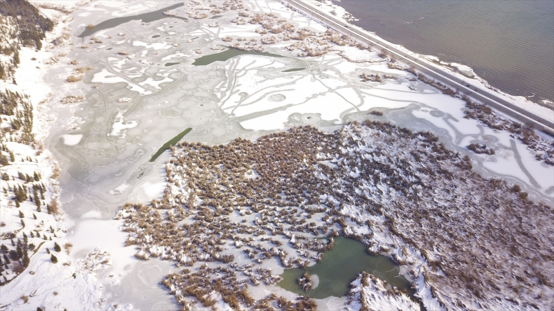 Yüzeyi buzla kaplanan Ahlat'taki "Kuş Cenneti" dronla görüntülendi 7