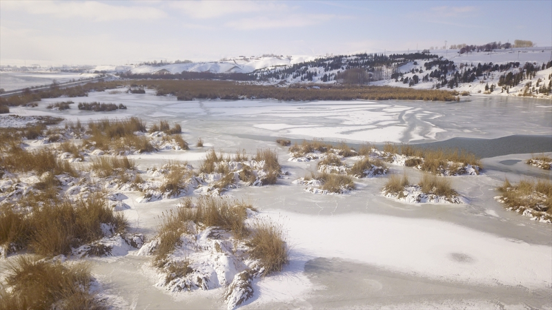 Yüzeyi buzla kaplanan Ahlat'taki "Kuş Cenneti" dronla görüntülendi 5
