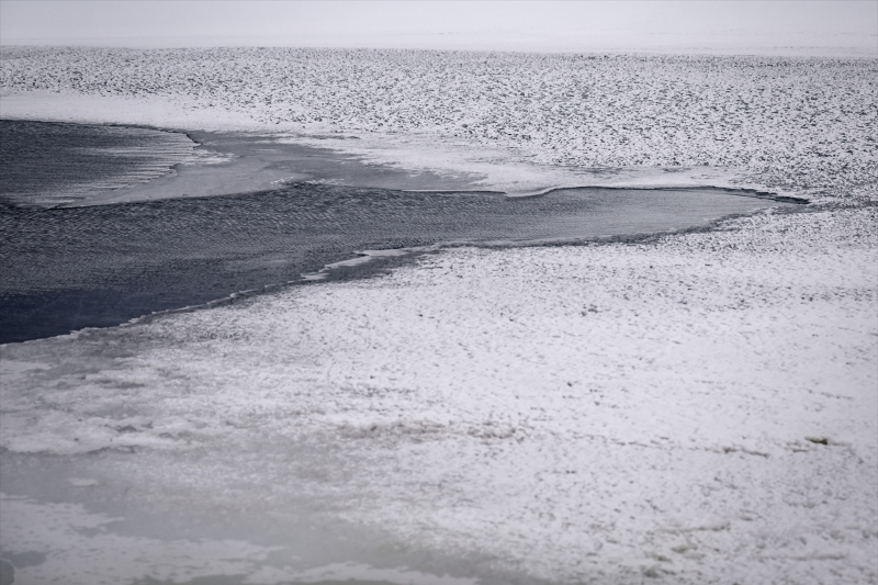 Horseshoe Adası'ndaki göller Türkiye'nin de teklifiyle "özel koruma alanı" olacak 9