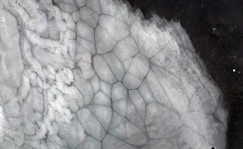 Horseshoe Adası'ndaki göller Türkiye'nin de teklifiyle "özel koruma alanı" olacak 15