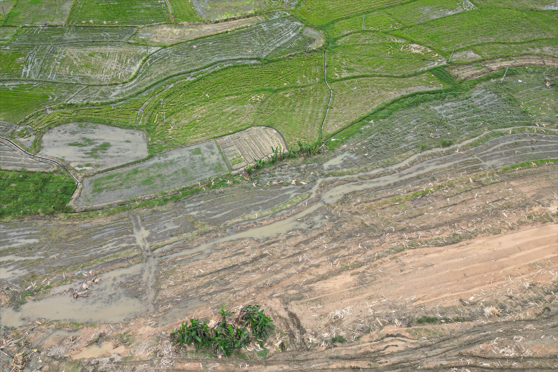 Çin'de yaşanan sele dönüşen şiddetli yağış Guangdong eyaletini vurdu 18