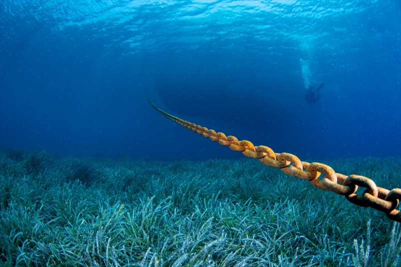 Ayvalık'ın su altı zenginliği 7