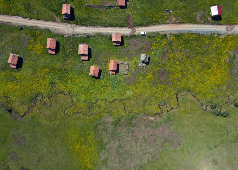 Baharın tüm renklerini barındıran Araç yaylaları 3