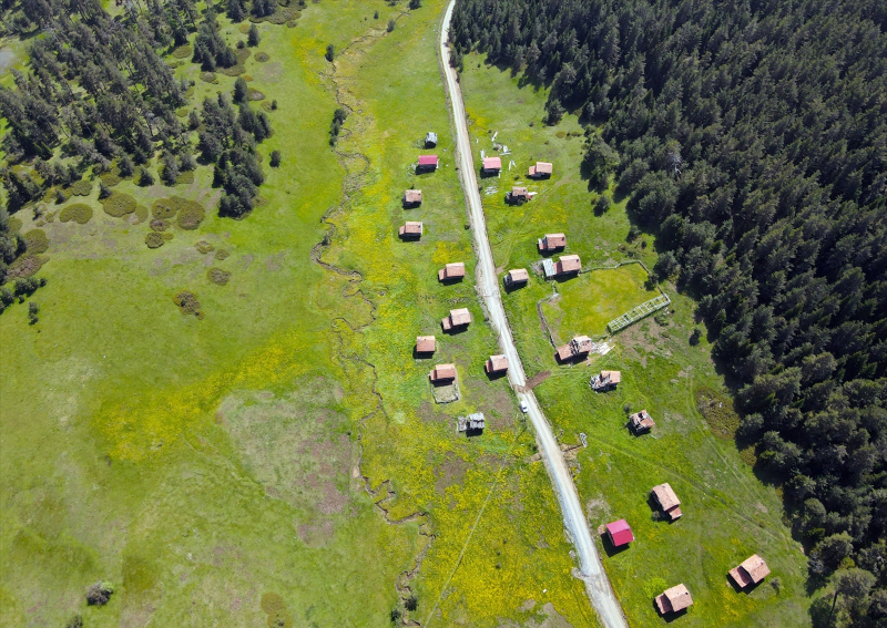 Baharın tüm renklerini barındıran Araç yaylaları 12
