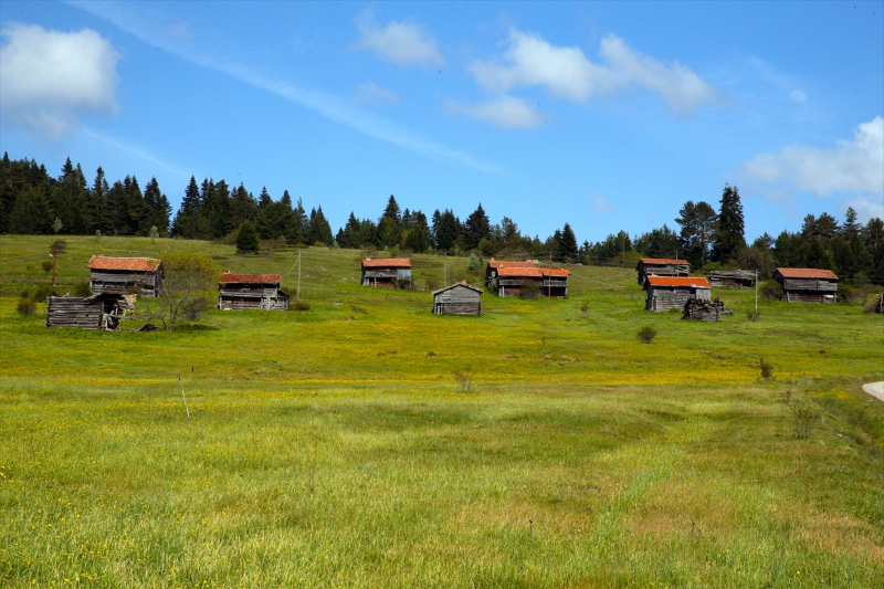 Baharın tüm renklerini barındıran Araç yaylaları 8