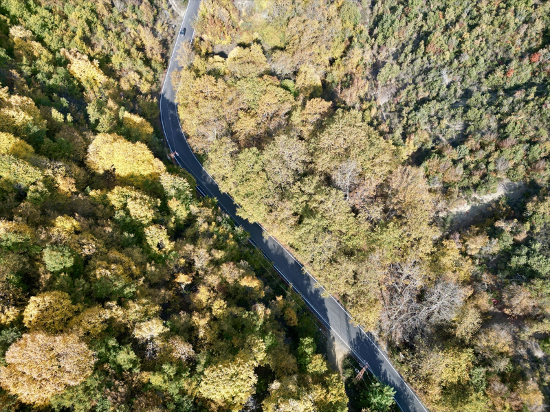 Tekirdağ'da Ganos Dağı eteklerindeki ormanlar hazan mevsiminin renklerine büründü 5
