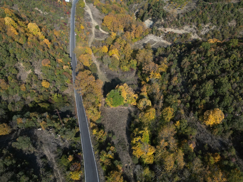 Tekirdağ'da Ganos Dağı eteklerindeki ormanlar hazan mevsiminin renklerine büründü 8