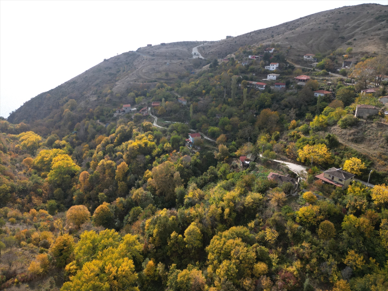 Tekirdağ'da Ganos Dağı eteklerindeki ormanlar hazan mevsiminin renklerine büründü 6