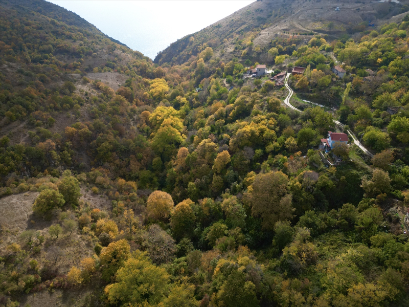 Tekirdağ'da Ganos Dağı eteklerindeki ormanlar hazan mevsiminin renklerine büründü 4