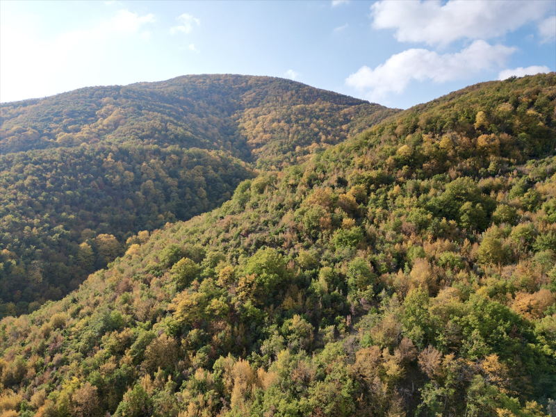 Tekirdağ'da Ganos Dağı eteklerindeki ormanlar hazan mevsiminin renklerine büründü 7