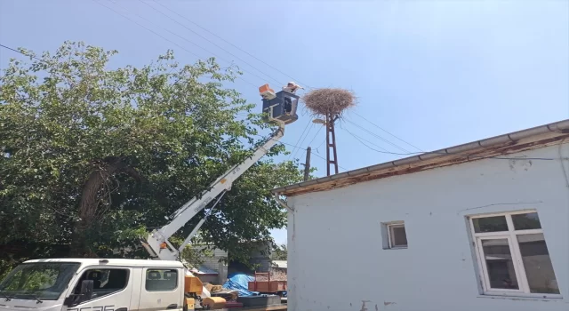 Iğdır’da ayağına ip dolanan leylek yavrusu kurtarıldı