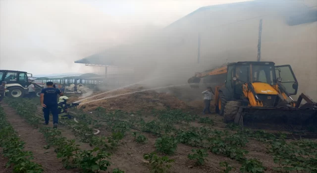 Manisa’da tarım işletmesinde çıkan yangına müdahale ediliyor
