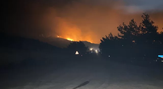 KKTC’deki orman yangınına müdahale sürüyor