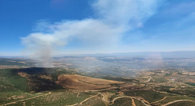 İzmir’in Ödemiş ilçesinde çıkan orman yangınına müdahale ediliyor