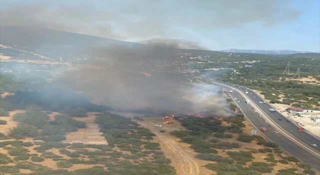 İzmir’de makilik alanda çıkan yangına müdahale ediliyor