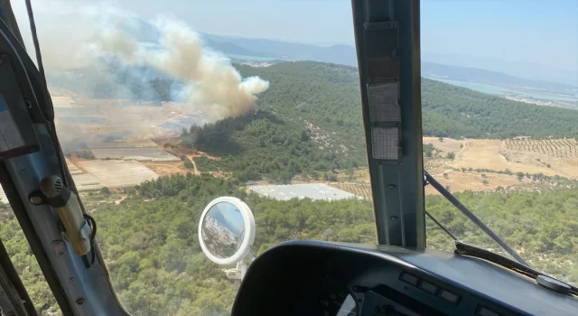 İzmir’de seraların bulunduğu bölgede çıkan yangın ormana sıçradı