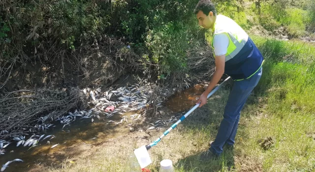 Çevre, Şehircilik ve İklim Değişikliği Bakanlığından Bartın’daki balık ölümlerine ilişkin açıklama: