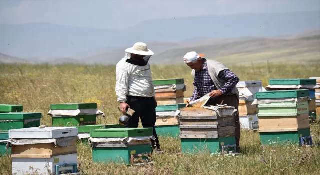 Kars’taki arıcılar verimli bir sezon bekliyor