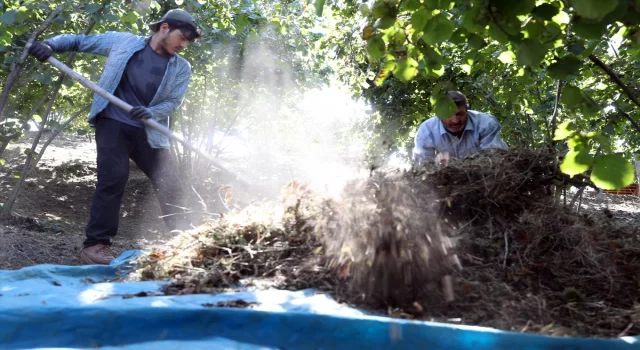 Sakarya’da mevsimlik tarım işçileri fındık mesaisine hazırlanıyor