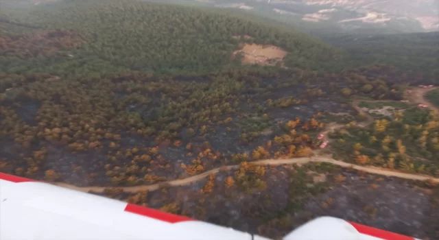 Manisa’daki orman yangınına müdahale sürdü