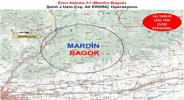 Mardin’de, ErenAbluka31 operasyonu başlatıldı