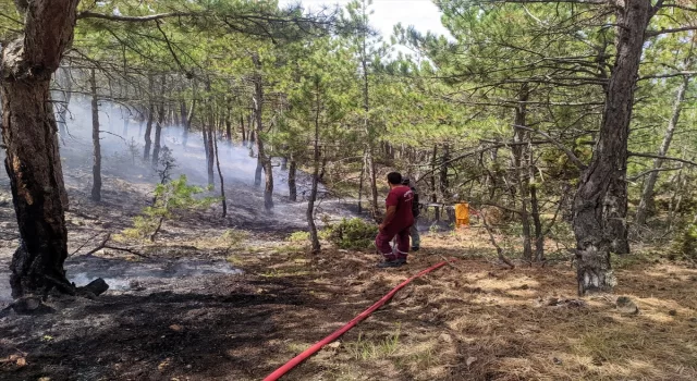 Eskişehir’de yıldırım düşmesi sonucu çıkan orman yangını söndürüldü