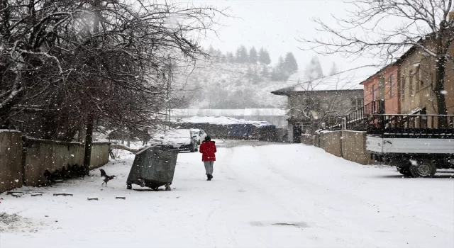 Van ve Bitlis’te kar yağışı etkisini gösterdi