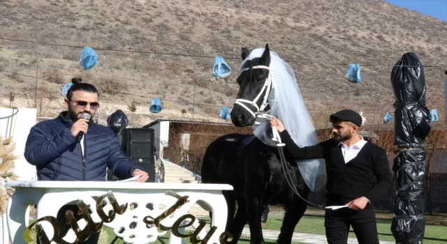 Kayseri’de çiftliğin yeni üyesi atlara ”düğün” yaptılar