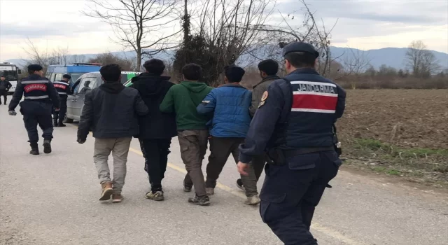 Sakarya’da 7 düzensiz göçmen yakalandı
