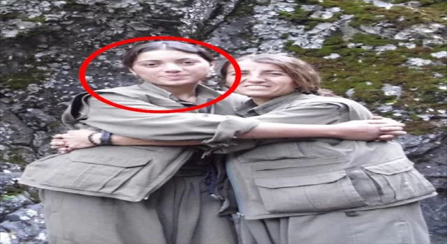 Yeşil Sol Parti Kocaeli milletvekili adayına PKK/KCK’dan gözaltı