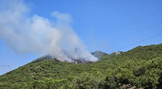 Antalya’nın Demre ilçesinde orman yangını çıktı