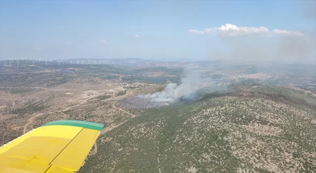 İzmir’de makilik alandaki yangına müdahale ediliyor