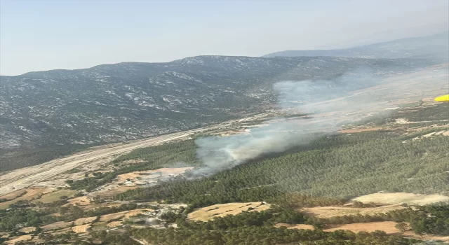 Manavgat’ta orman yangını çıktı