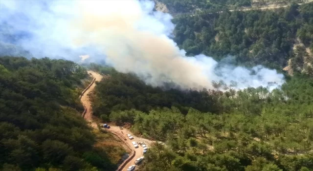 Bolu’da çıkan orman yangınına müdahale ediliyor