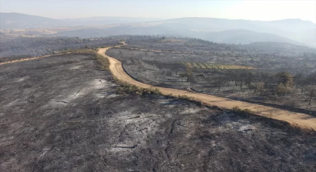 GÜNCELLEME 2 Bilecik ve Bursa’daki orman yangını 18’inci saatinde kontrol altına alındı