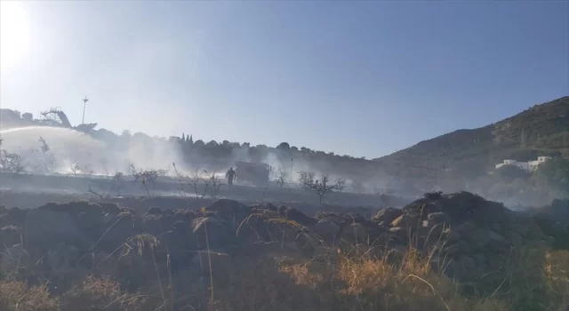Bodrum’da makilik alanda çıkan yangın söndürüldü