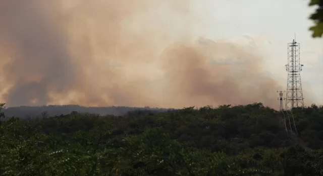 TürkiyeBulgaristan sınırında çıkan orman yangını sebebiyle Edirne’de tedbir alındı