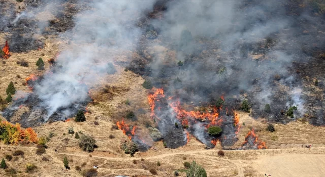 GÜNCELLEME Sivas’ta otluk ve ağaçlık alanda çıkan yangın söndürüldü 
