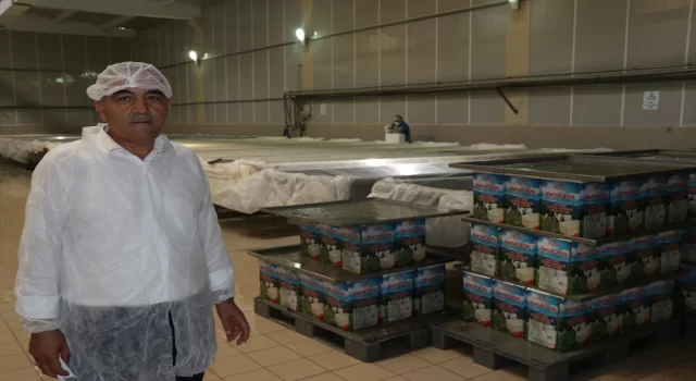 Karslı peynir üreticisi Kütahya’daki yatırımını devlet desteğiyle büyüttü