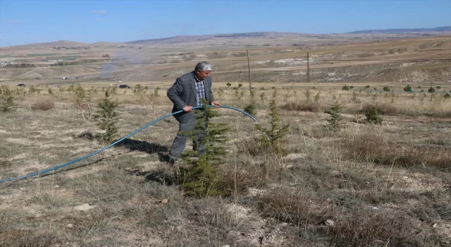 Yozgat’ta doğa gönüllüsü 23 yılda 25 hatıra ormanı oluşturdu